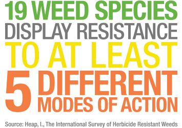 19 weed species display resistance, info by Bayer Crop Science.