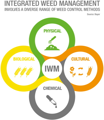 IWM involves a diverse range of weed control methods.