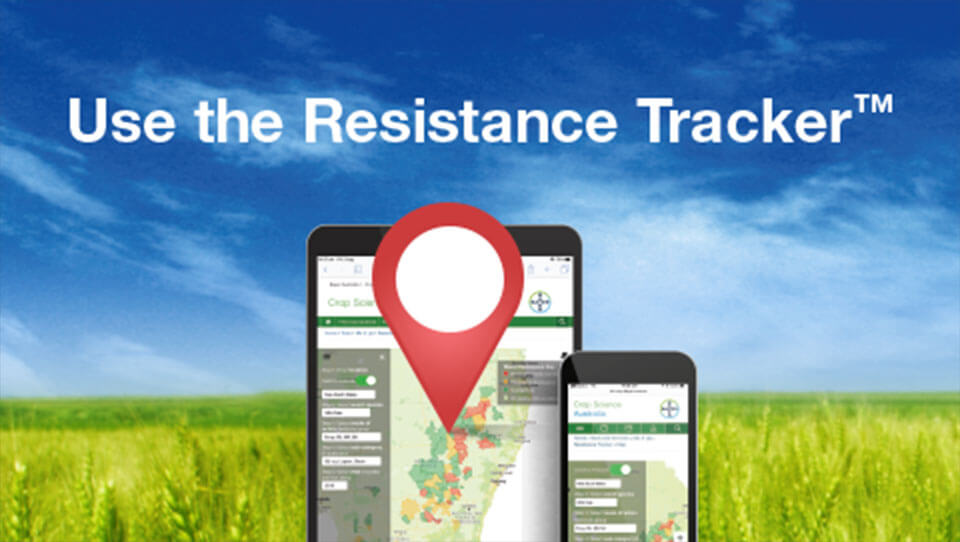 Check resistance in your area by using Resistance Tracker tool from Bayer Crop Science.
