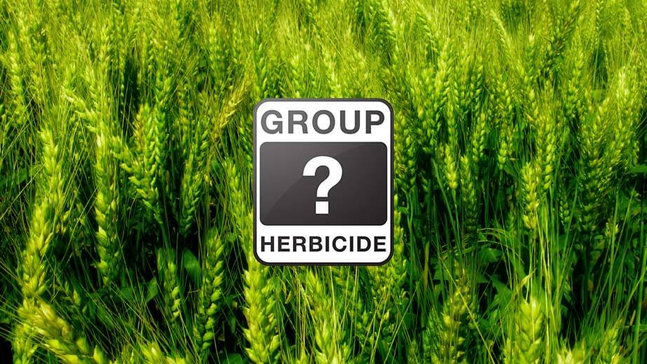 Bayer Herbicide Products Bayer Crop Science