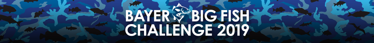 Bayer Big fish Challenge header