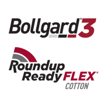Bollgard 3