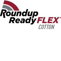 Roundup Ready Flex Cotton, Products