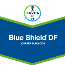 Blue Shield