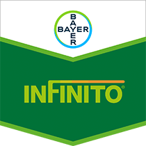 Bayer Infinito Fungicide