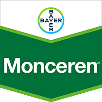 Monceren