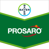 Prosaro