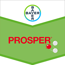 Prosper