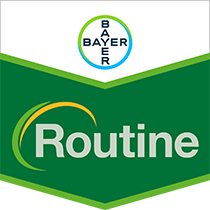 Routine brand tag