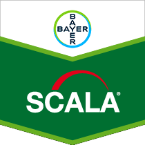 Scala