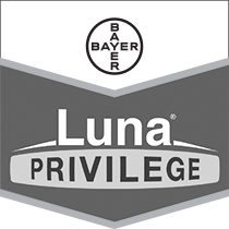 Luna Privilege Brand Tag
