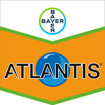 Atlantis