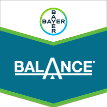 Balance