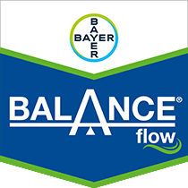 Balance Flow