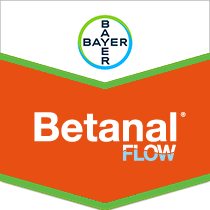 Betanal Flow