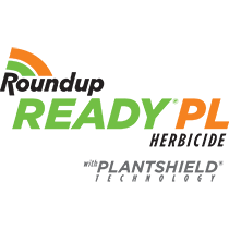 Roundup Ready PL Herbicide with Plantshield technology