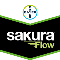 Sakura Flow
