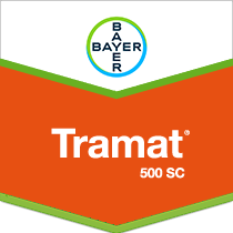 Tramat® 500 SC Selective Herbicide by Bayer