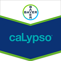 Calypso® 480 SC Insecticide