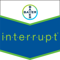 Bayer Interrupt Insecticide