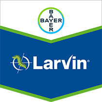Bayer Larvin® 375 Insecticide 