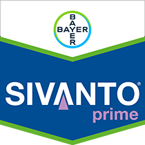 Sivanto Prime