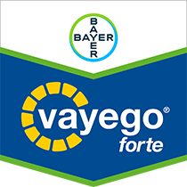 Vayego Forte Brandtag