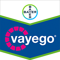 Vayego