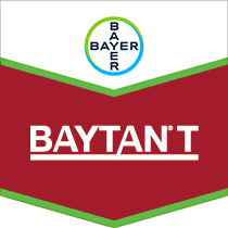 Baytan® T Flowable Seed Dressing by Bayer Crop Science