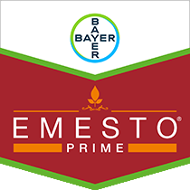 Emesto Prime brandtag