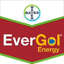 EverGol® Energy Seed Treatment by Bayer Crop Science