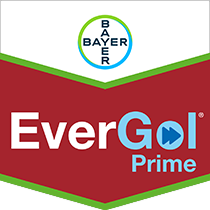EverGol Prime