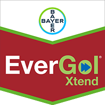 EverGol® Xtend seed treatment product from Bayer
