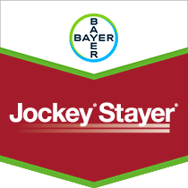 Jockey Stayer