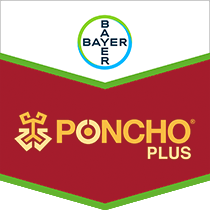 Poncho Plus