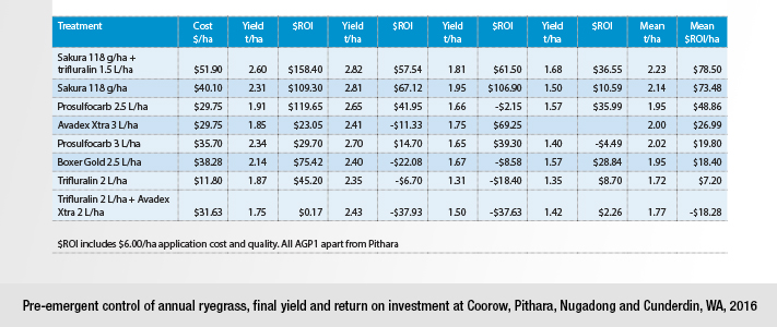 Yield & ROI from pre-emergent control of annual ryegrass