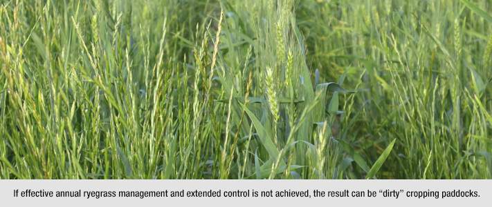Annual ryegrass mgnt. & control by Bayer Crop Science