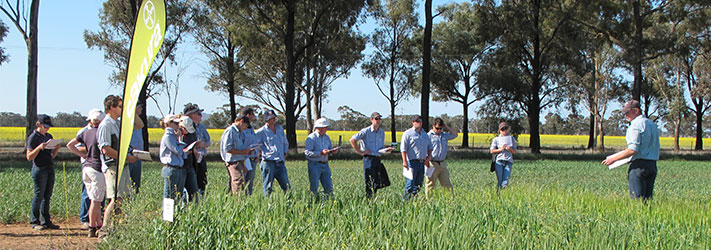 Gus MacLennan takes grower’s perspective for problem solving in crops
