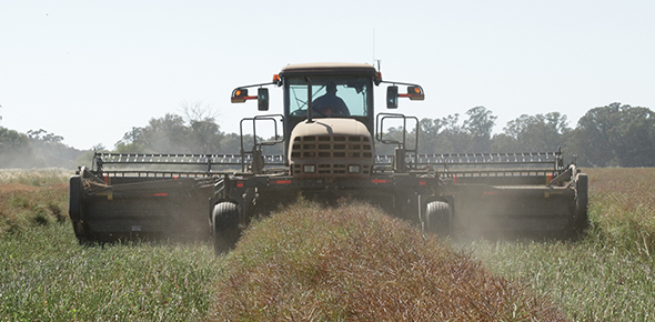 Mr Clarke’s ‘Delby Park’ crop property at Tocumwal, NSW
