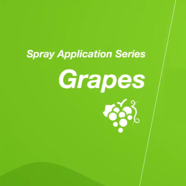 Manage Pests & Diseases Grower's Edge Bayer Crop Science