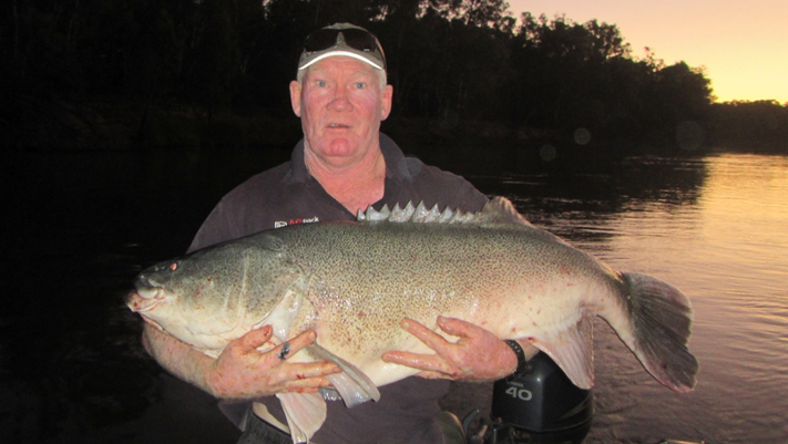 Big Fish Challenge