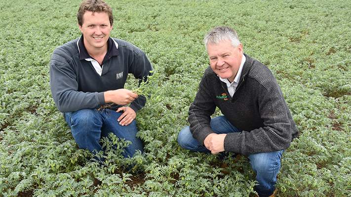 Schuster family farming