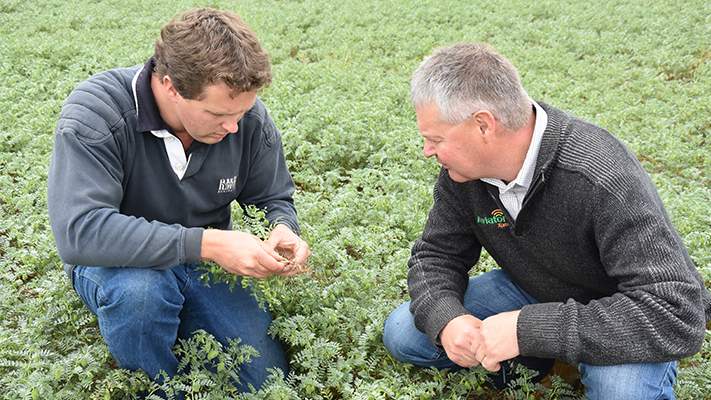Schuster family farming