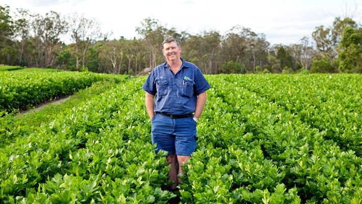 Ray Taylor Produce
