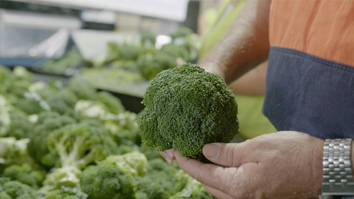 Ray Taylor Produce