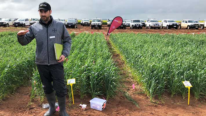 EverGol Energy Crown Rot Trial