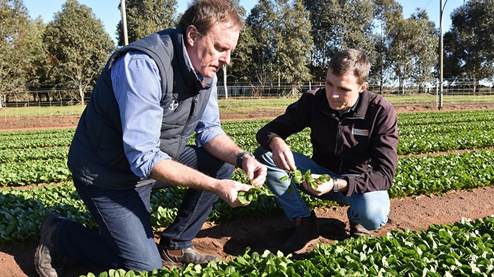 Ian Cook and Grant Swan