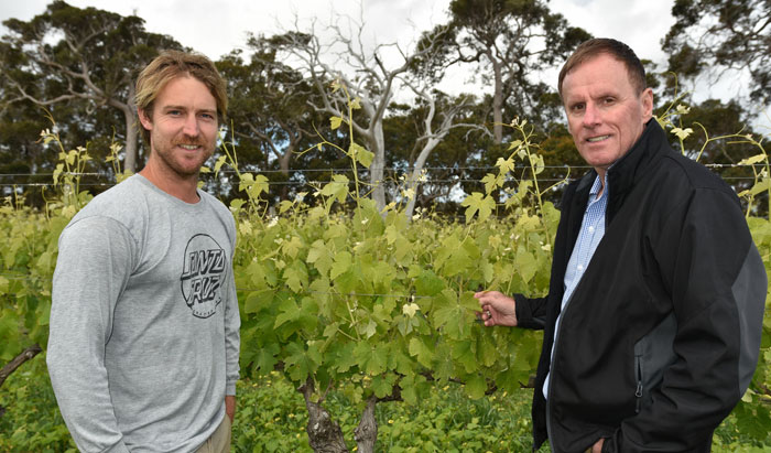 Tyke Wheatley Windance Wines