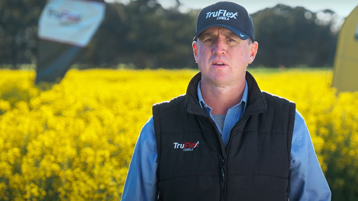 Growing Truflex canola in South Australia