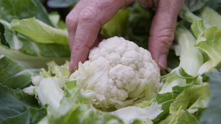 Infinito in cauliflower